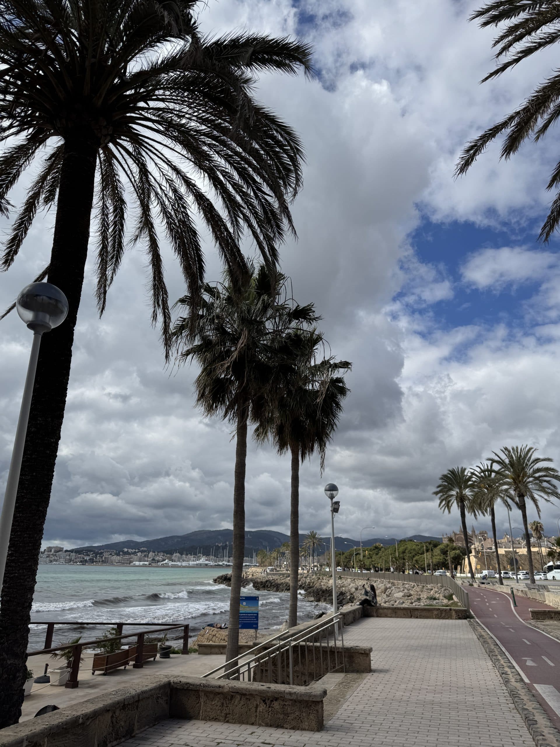 Palmenpromenade direkt am Meer auf Mallorca