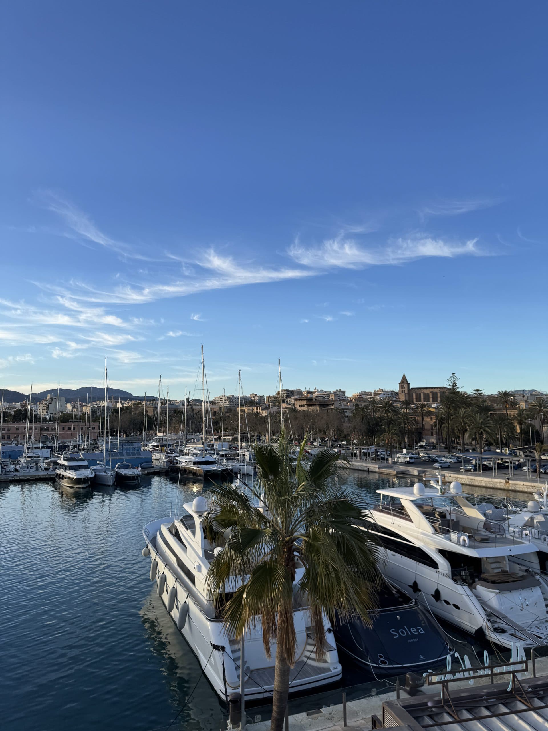 Yachten im Hafen von Palma de Mallorca