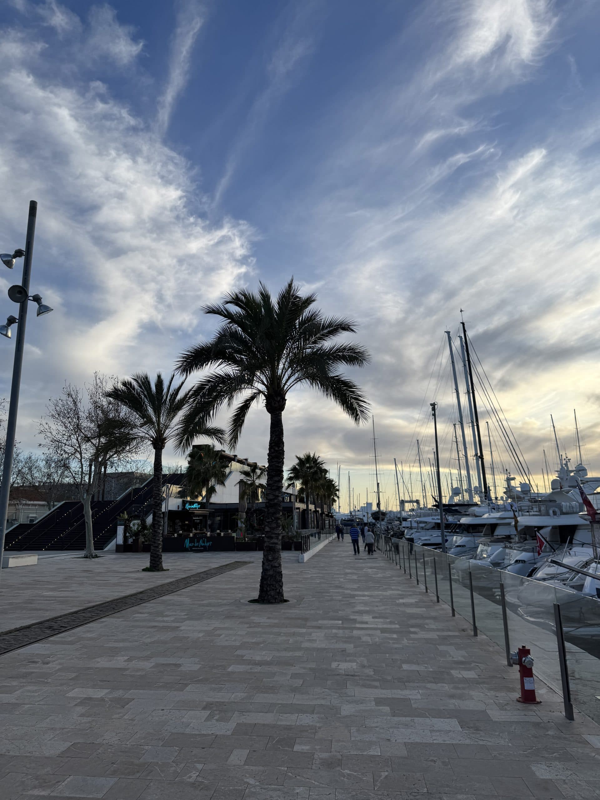 Hafenpromenade mit Palmen am Abend
