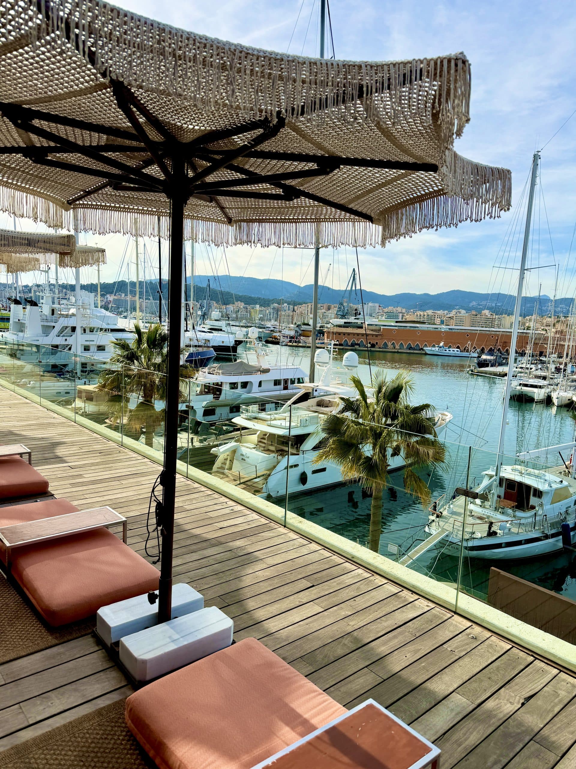 Blick über eine Terrasse zum Yachthafen von Palma