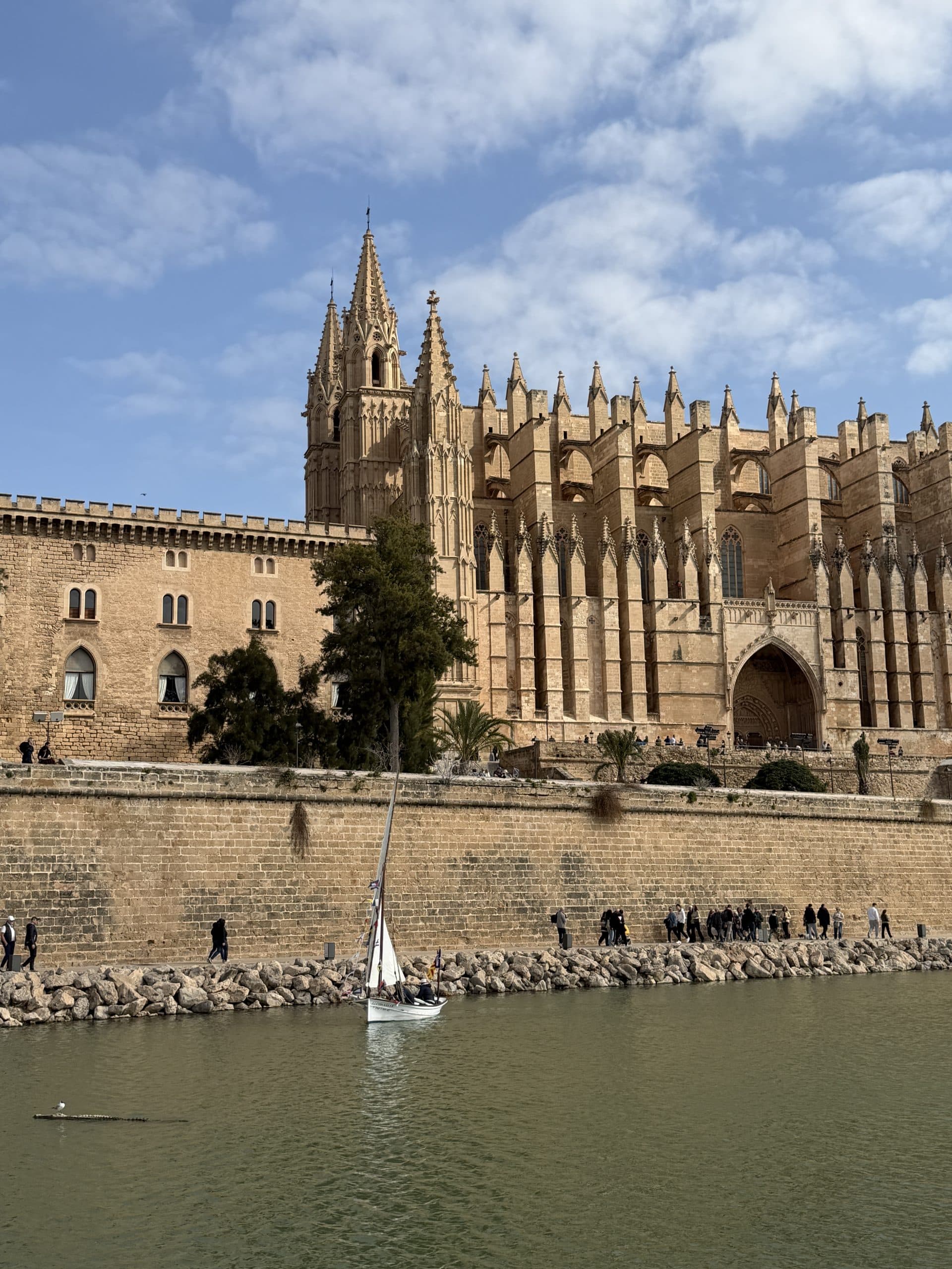 Blick auf die Kathedrale La Seu