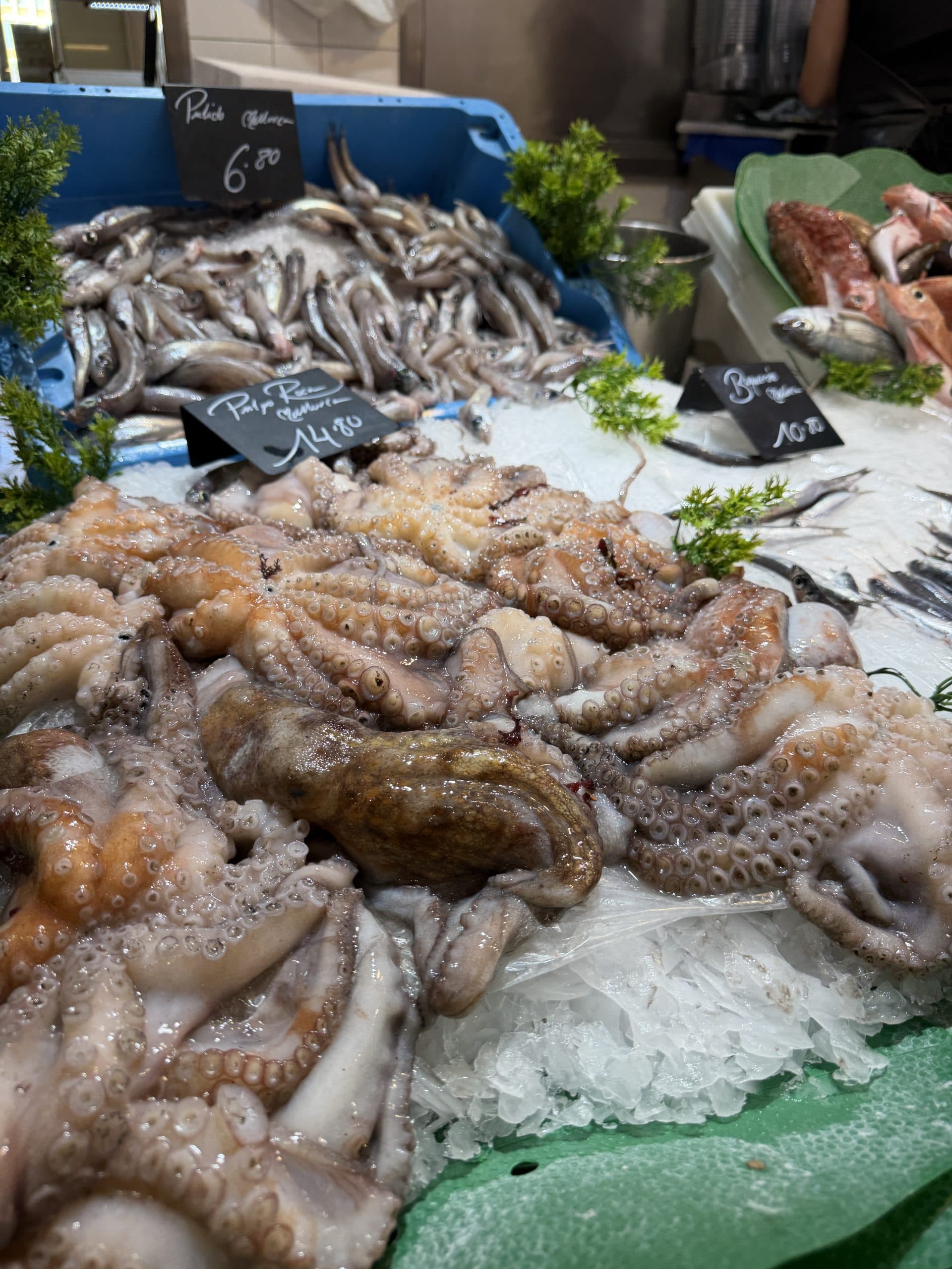 Frischer Oktopus und kleine Fische auf Eis in einer Markthalle in Palma