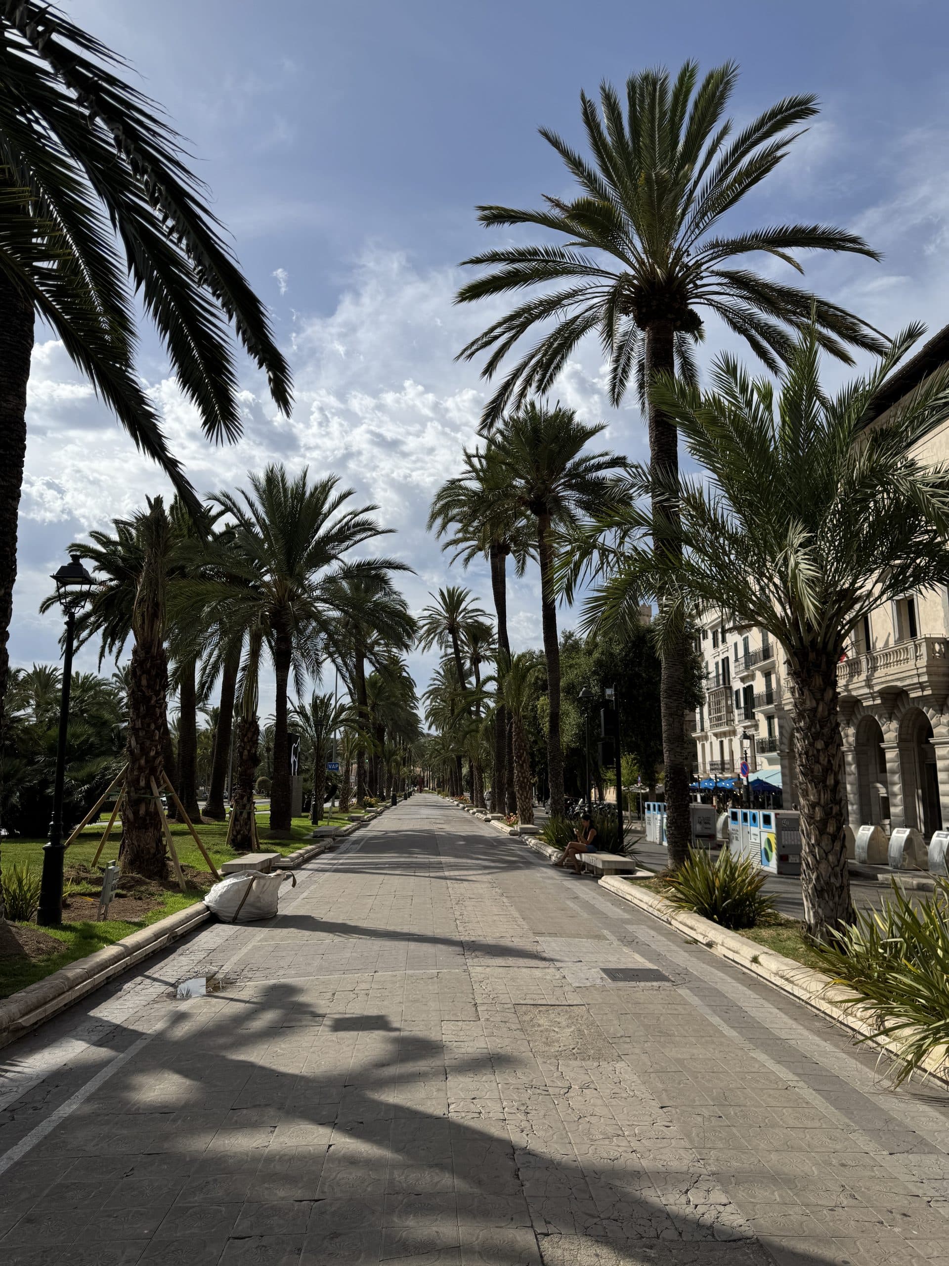 Palmenpromenade auf Mallorca
