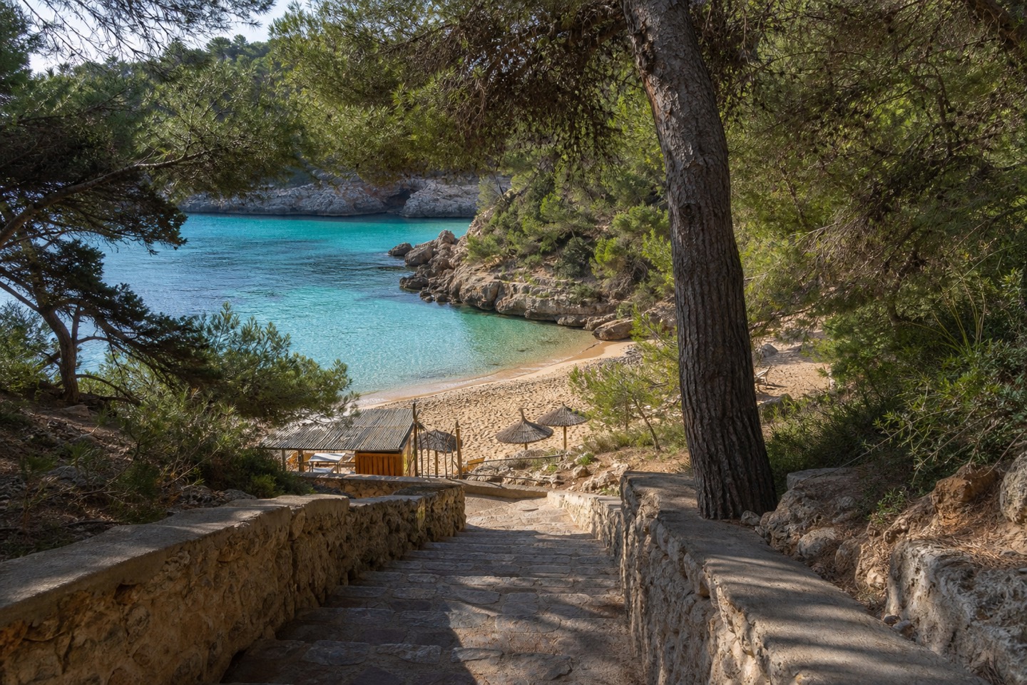 KI-generiertes Stimmungsbild des Treppenzugangs durch Kiefern zu einer kleinen Sandbucht nach dem Vorbild der Cala Comtessa