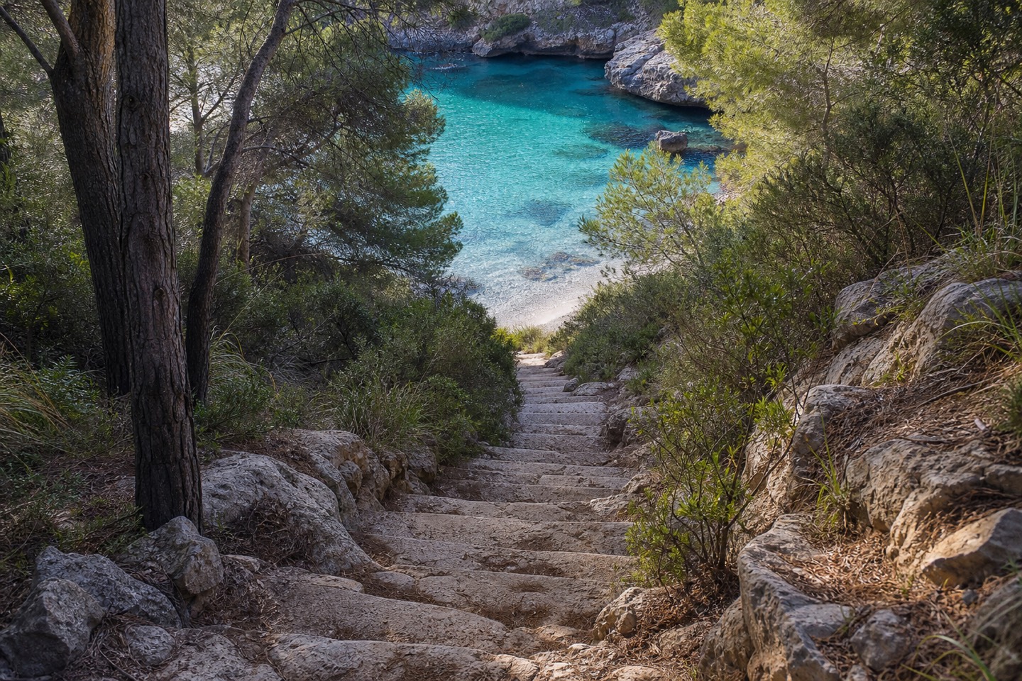 KI-generiertes Stimmungsbild einer steilen Steintreppe durch Pinien hinunter zu Cala Falcó