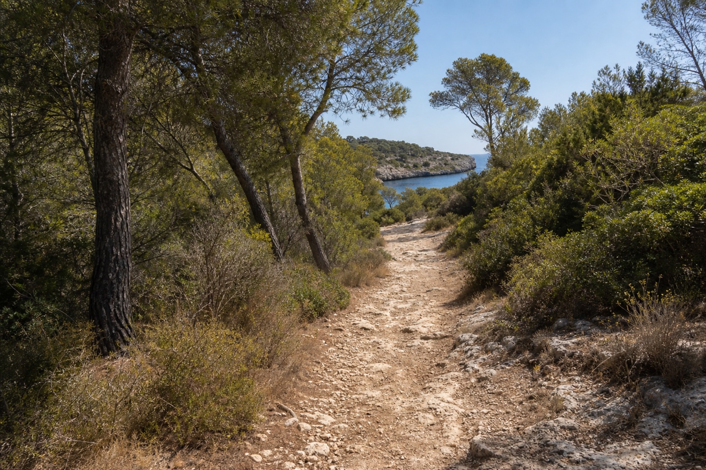 KI-generiertes Stimmungsbild des unbefestigten Fußzugangs zur Cala Magraner durch mediterranes Buschland