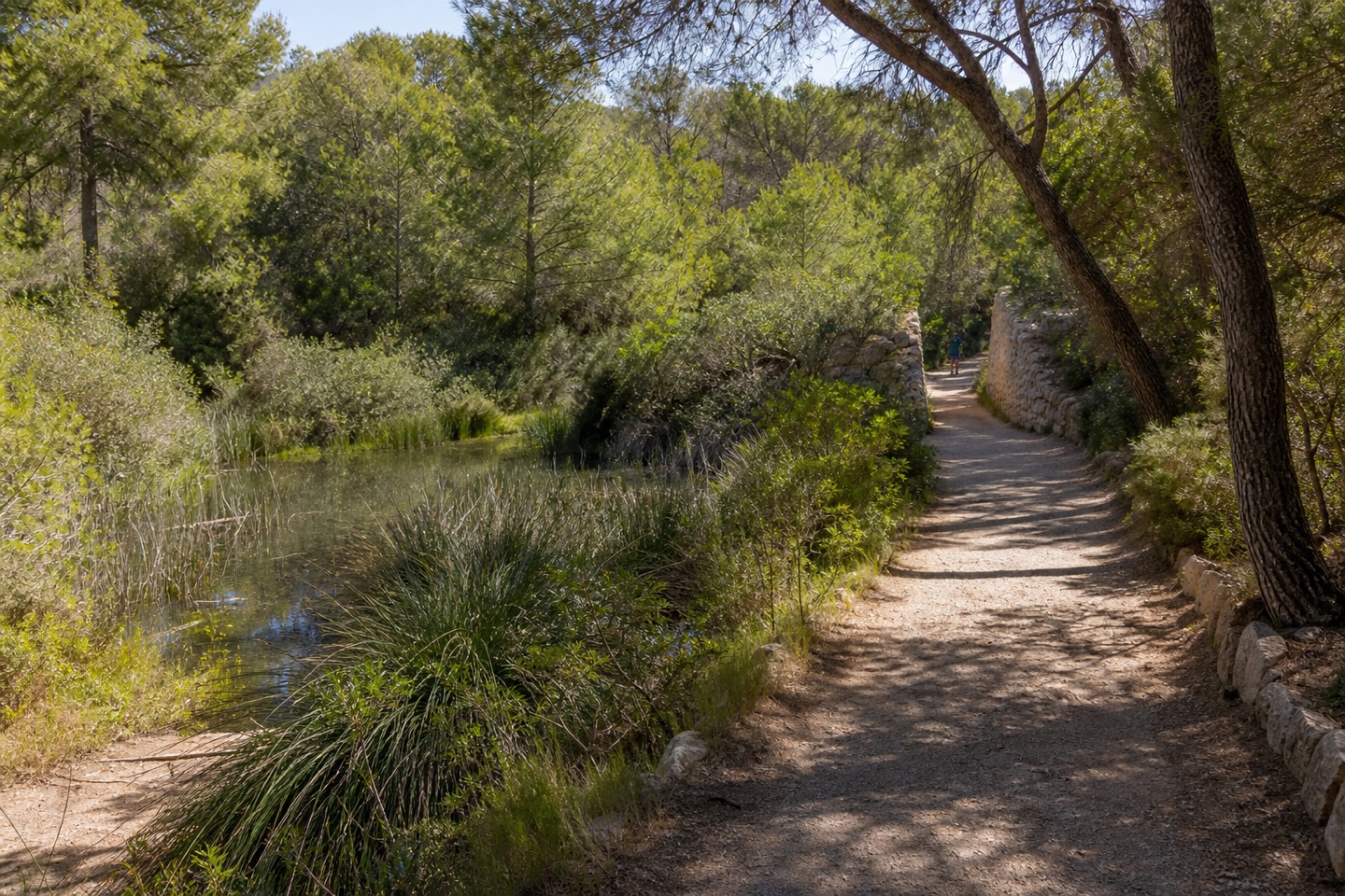KI-generiertes Stimmungsbild des Naturparkwegs vom Parkplatz ses Fonts de n’Alis zur Cala Mondragó
