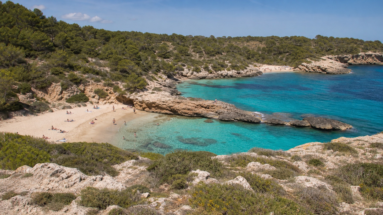 KI-generiertes Stimmungsbild der unbebauten Sandbucht Cala Varques mit Pinien und niedrigen Felsseiten