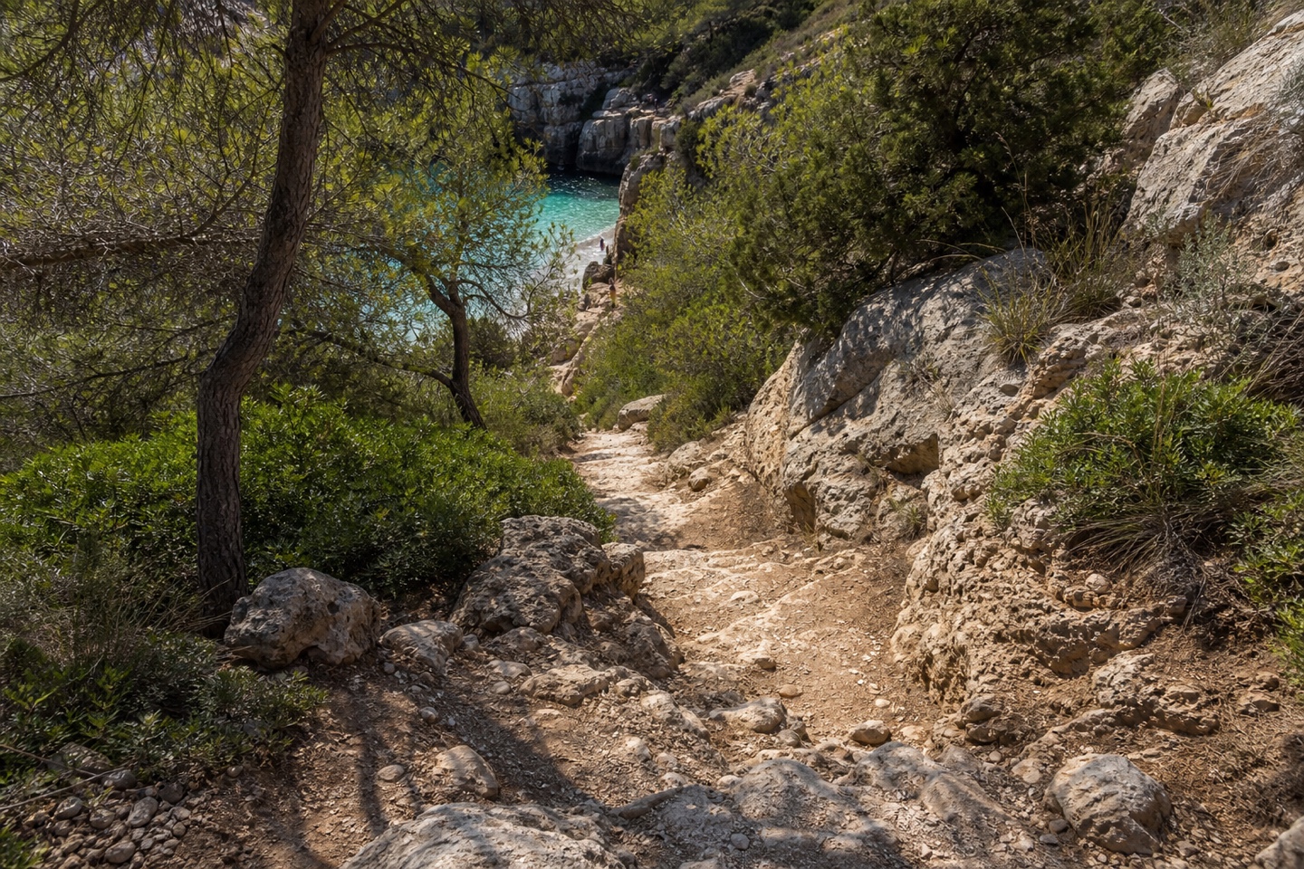 KI-generiertes Stimmungsbild des steilen Fußpfads zum Caló des Moro zwischen Felsen und mediterranem Buschland