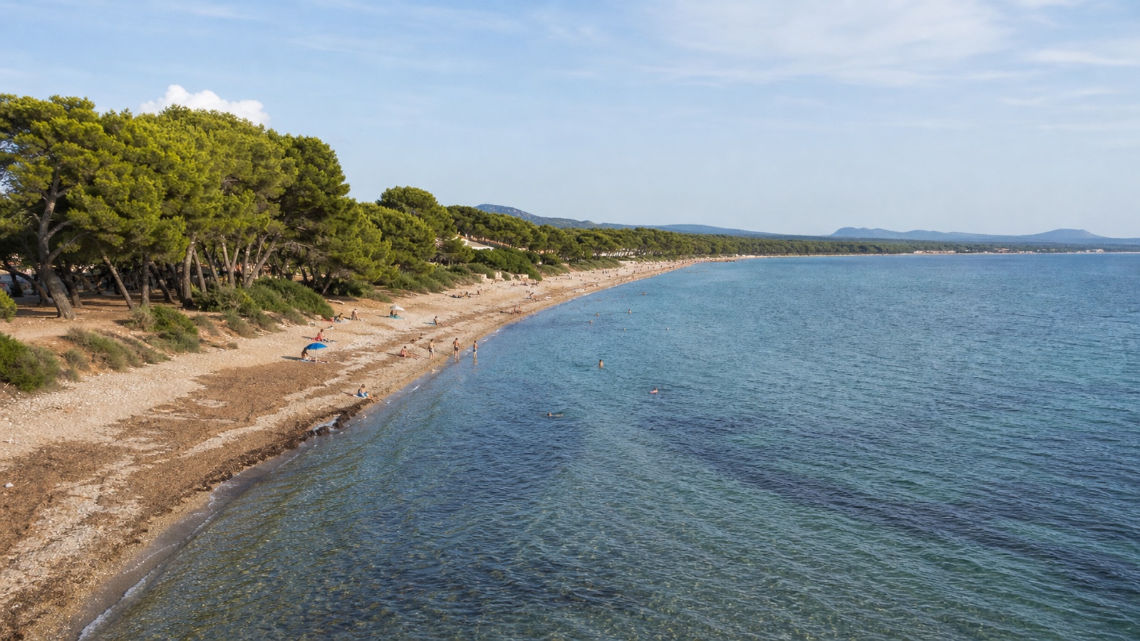 KI-generiertes Stimmungsbild des langen schmalen Sandstrands Sa Marjal an der Costa dels Pins mit Pinien im Hintergrund
