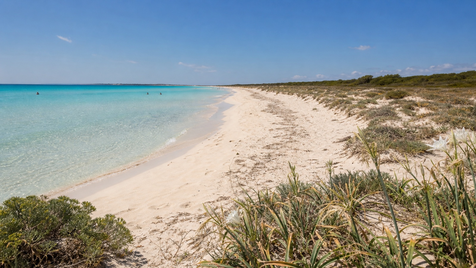 KI-generiertes Stimmungsbild des langen Naturstrands Es Trenc mit hellem Sand, flachem Wasser und geschütztem Dünengürtel
