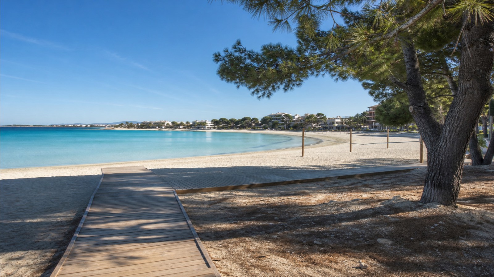 KI-generiertes Stimmungsbild des Strandes Palmanova mit hellem Sand, klarem Wasser, Kiefern, Holzsteg und Volleyballfeld