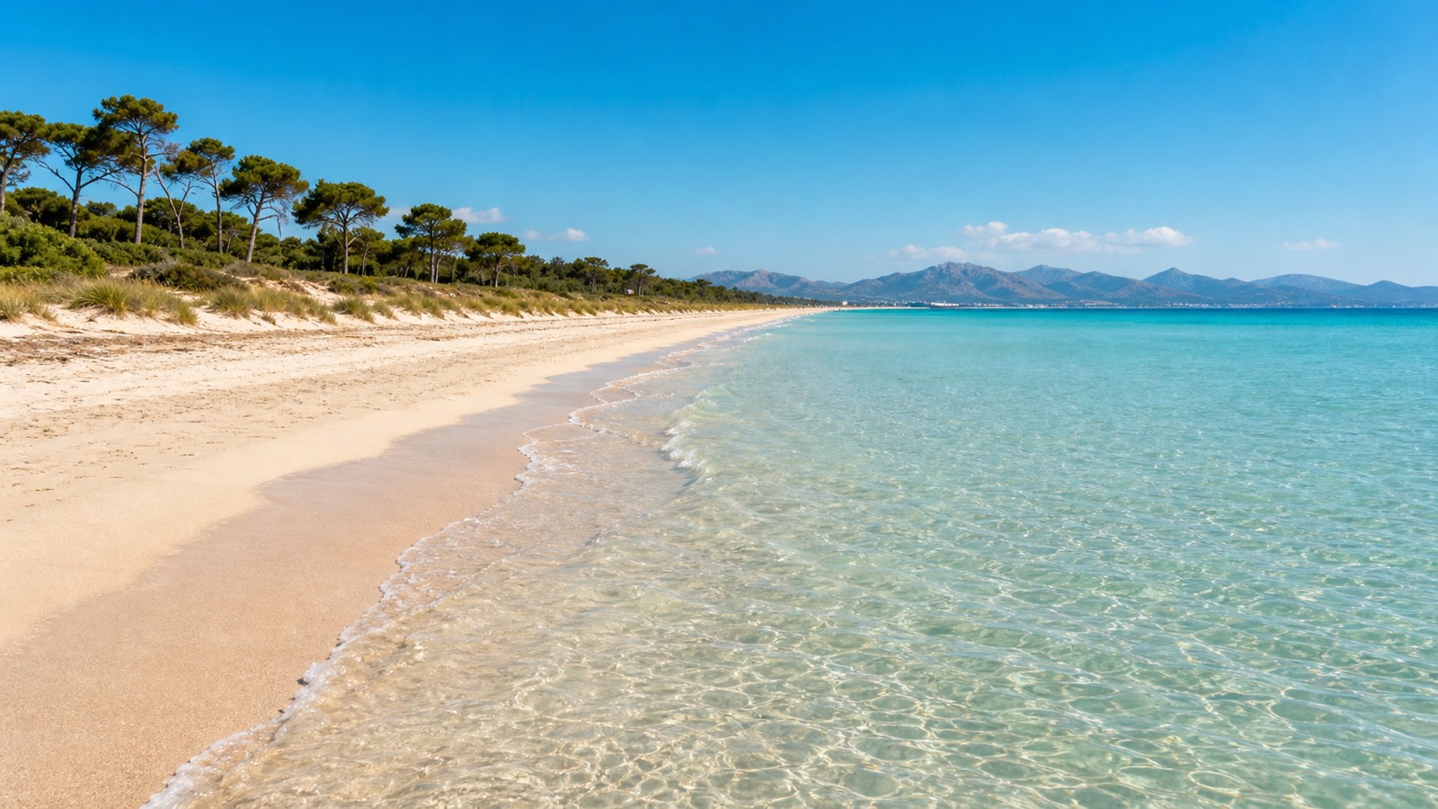 KI-generiertes Stimmungsbild eines langen feinsandigen Strands mit flachem türkisfarbenem Wasser, Dünen und Pinien im Stil der Platja de Muro