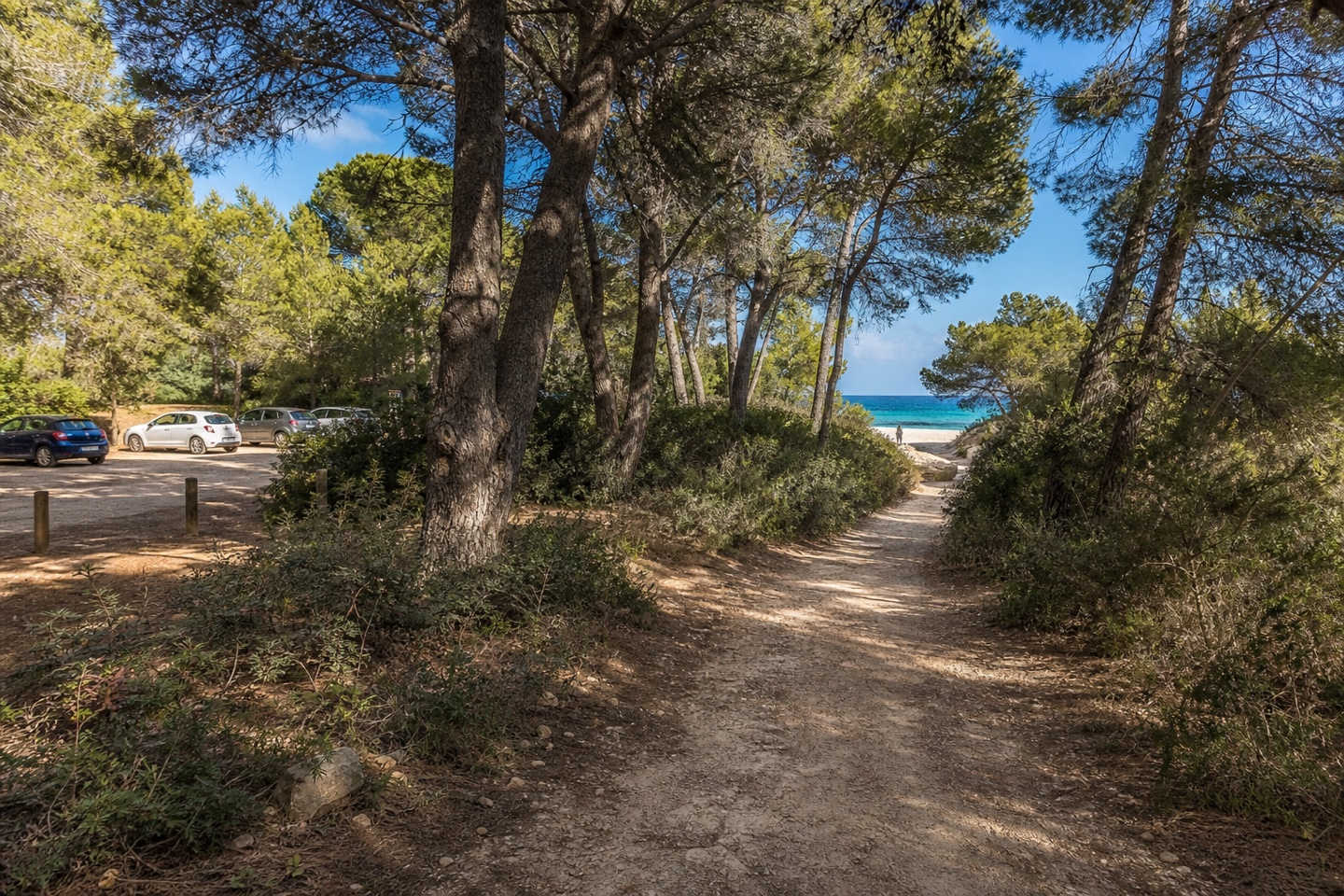 KI-generiertes Stimmungsbild des Fußwegs vom Parkplatz Ca sa Muda durch den Naturpark zum Strand S’Amarador