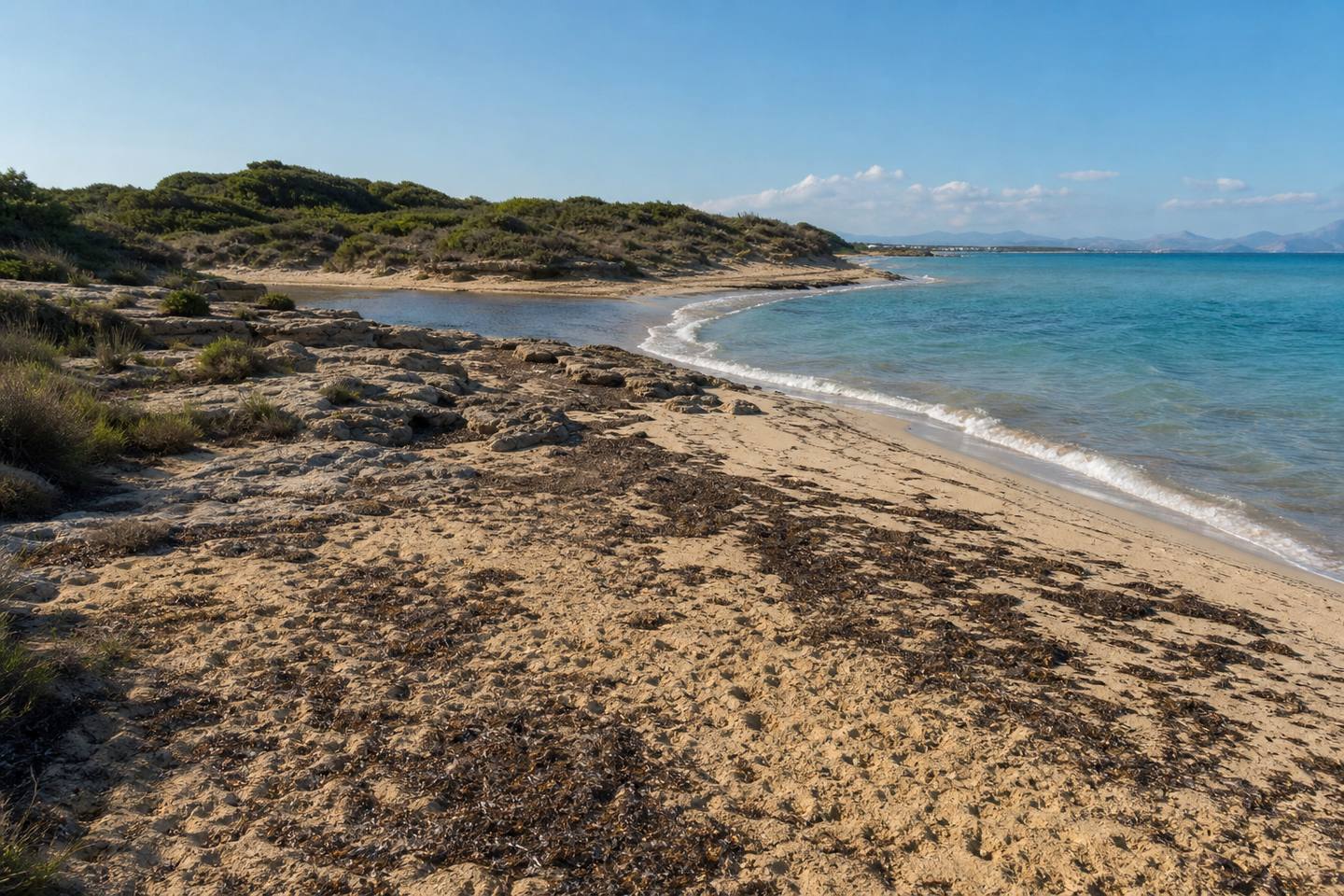 KI-generiertes Stimmungsbild der Torrentmündung bei Son Serra de Marina mit Posidonia, niedrigen Dünen und Naturküste