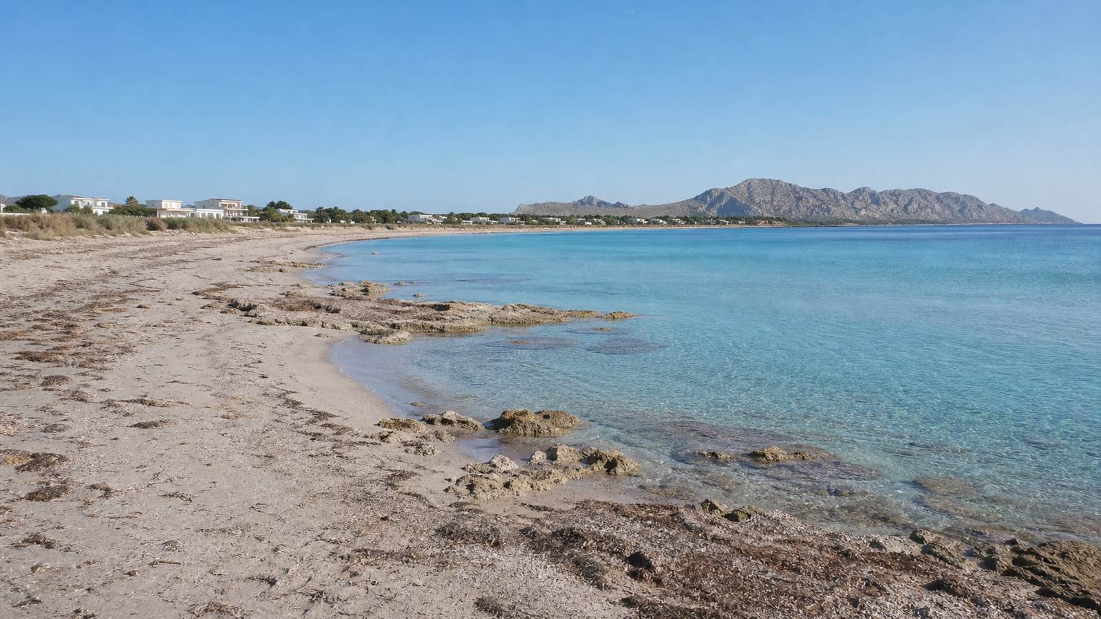 KI-generiertes Stimmungsbild des breiten Naturstrands Son Serra de Marina mit Posidonia, Felsen und klarem Wasser