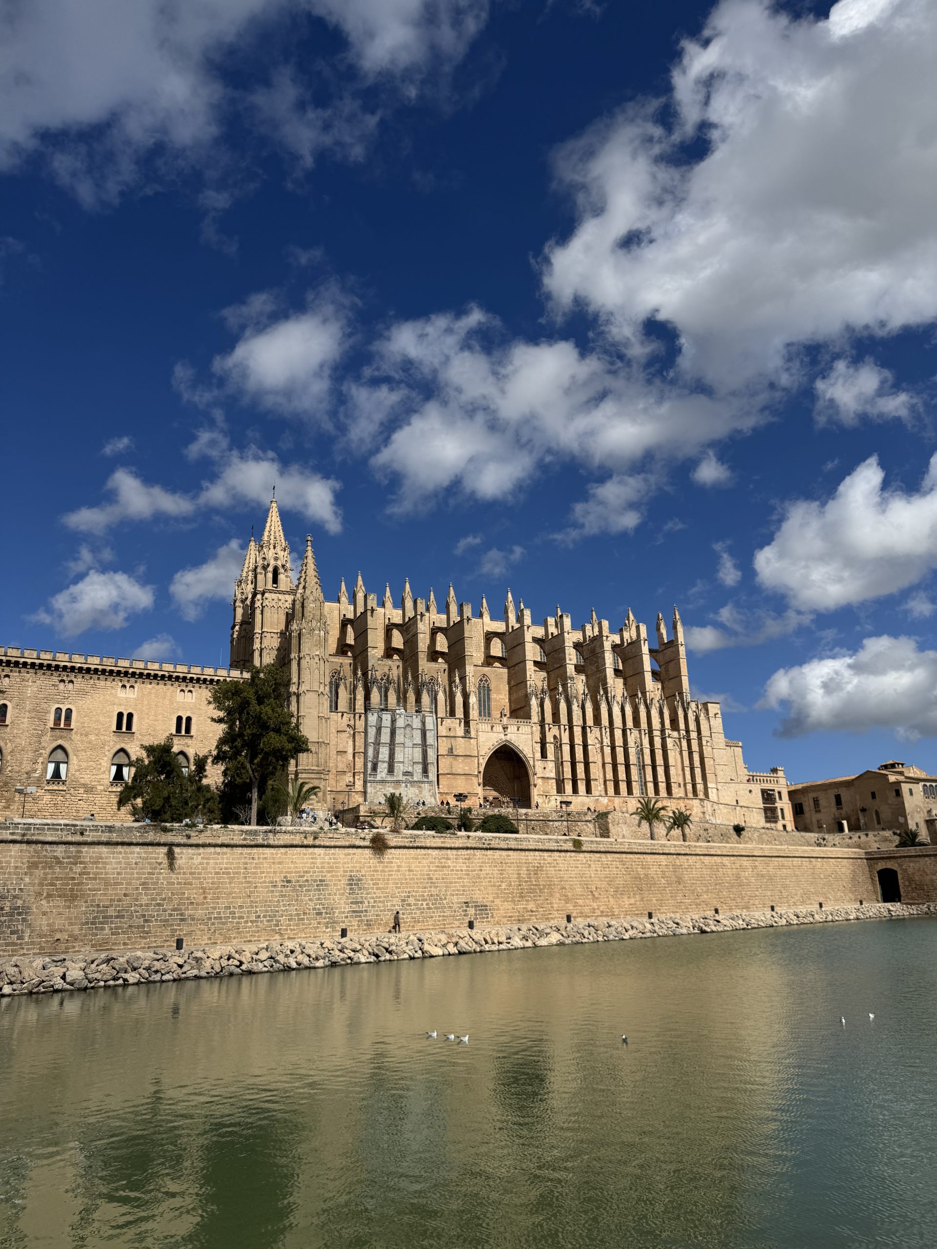Kathedrale von Palma mit Wasserbecken und Wolkenhimmel
