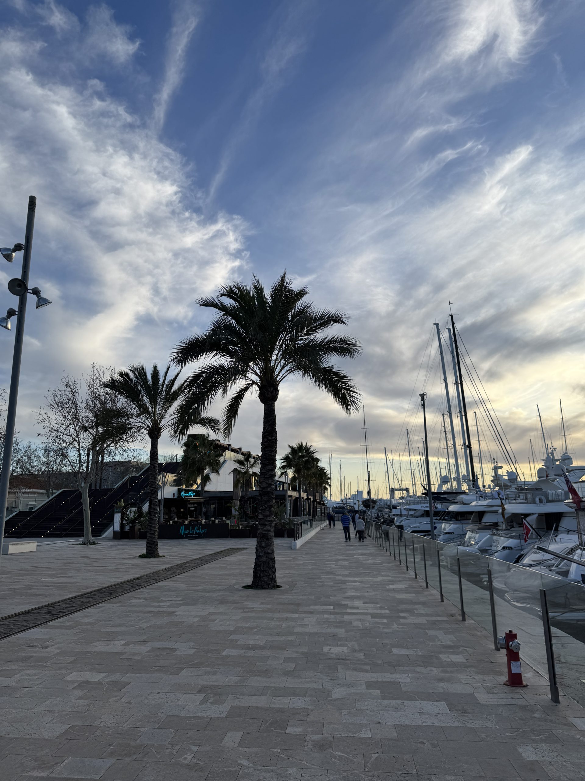 Hafenpromenade mit Palmen am Abend