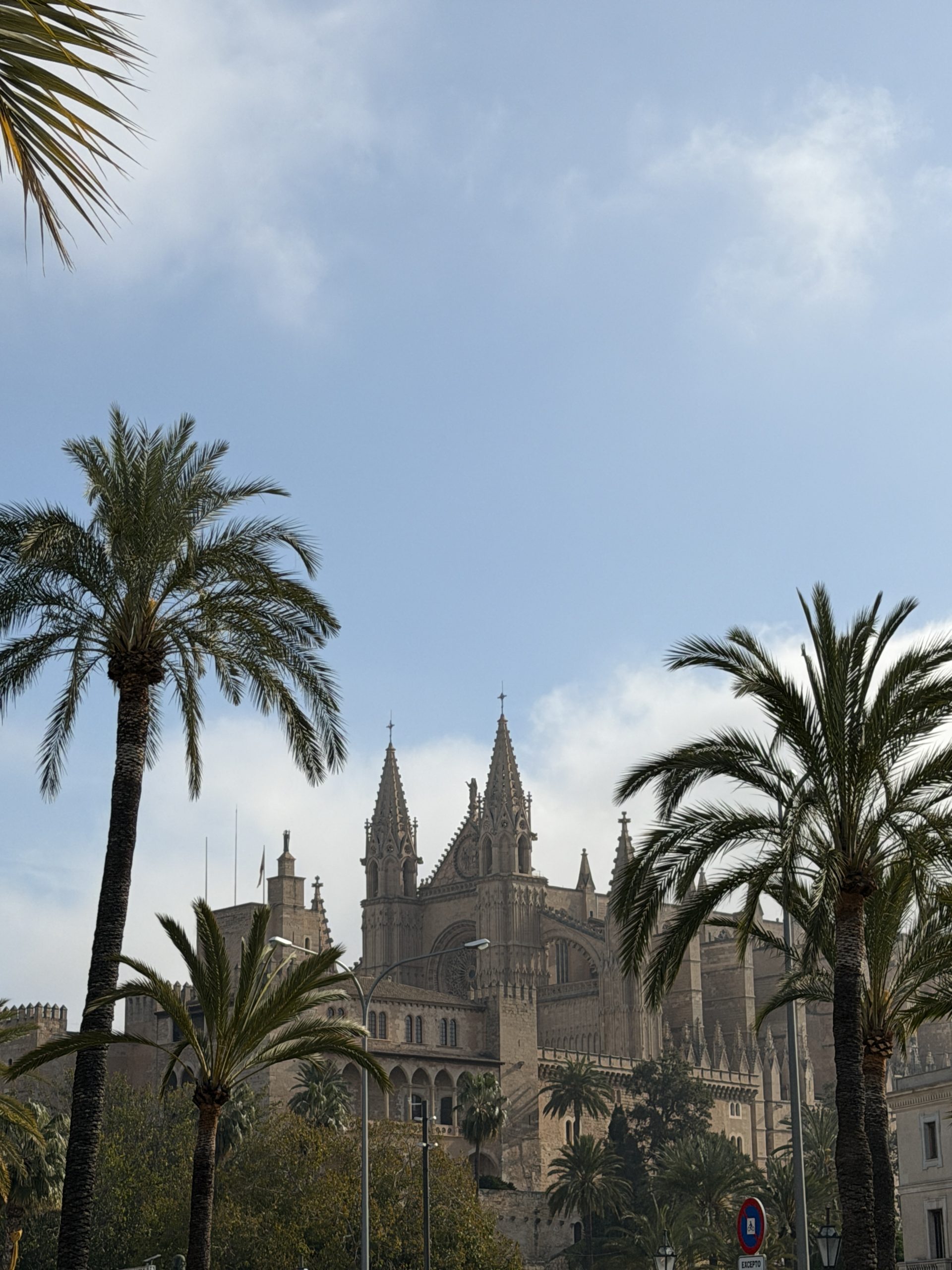 Kathedrale von Palma hinter Palmen