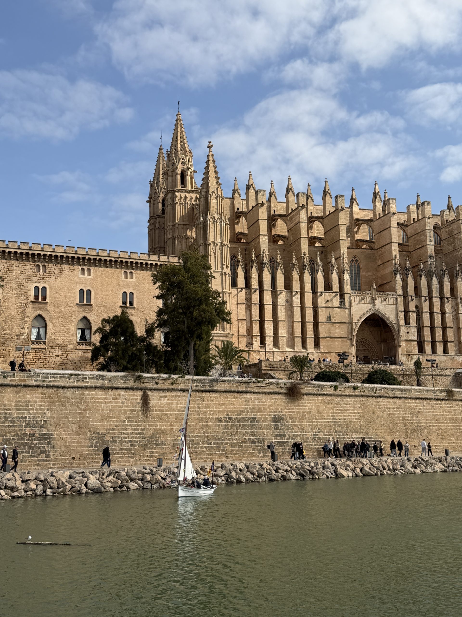 Blick auf die Kathedrale La Seu