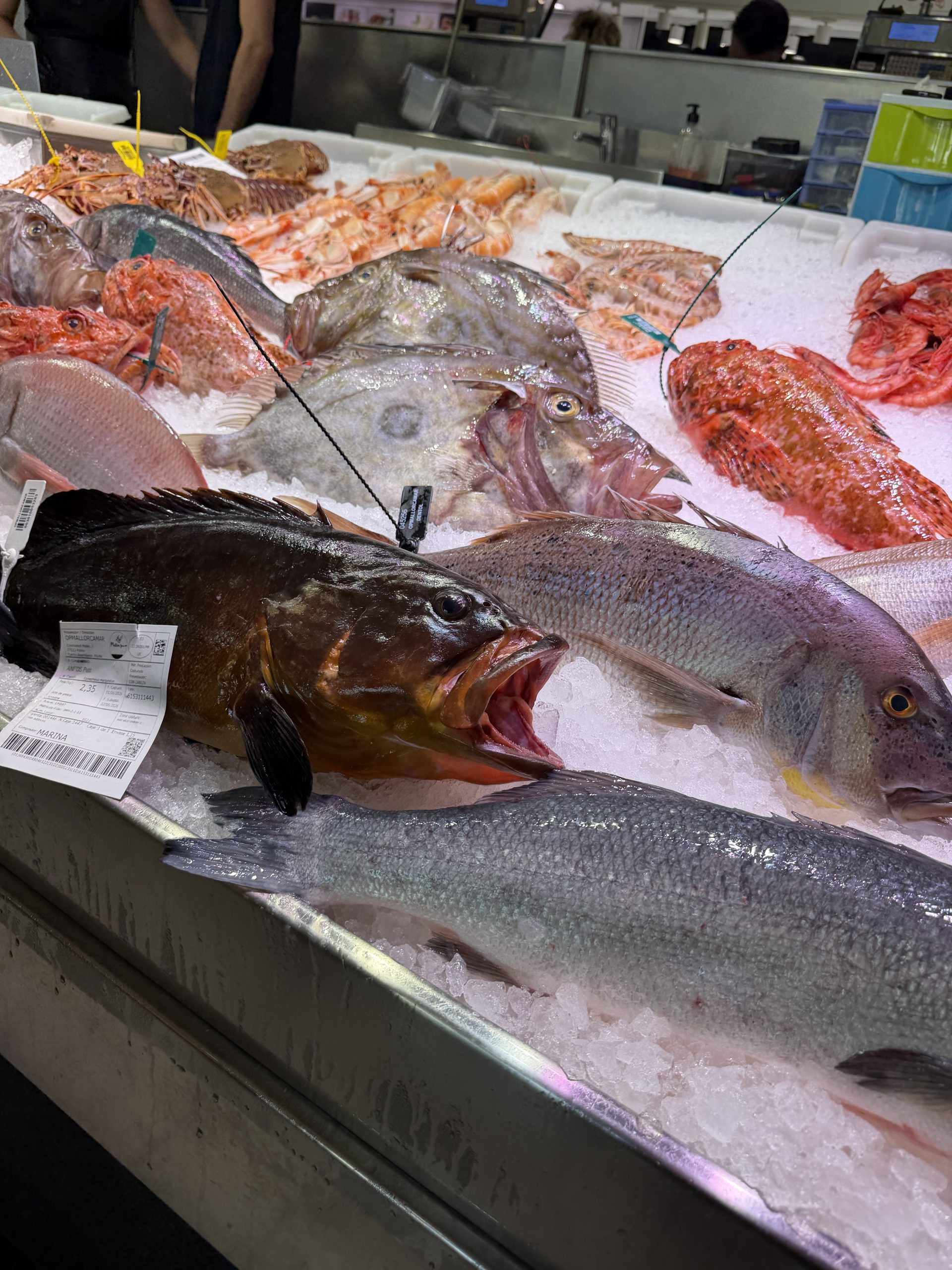 Fischtheke mit ganzen Fischen und Garnelen in einer Markthalle in Palma
