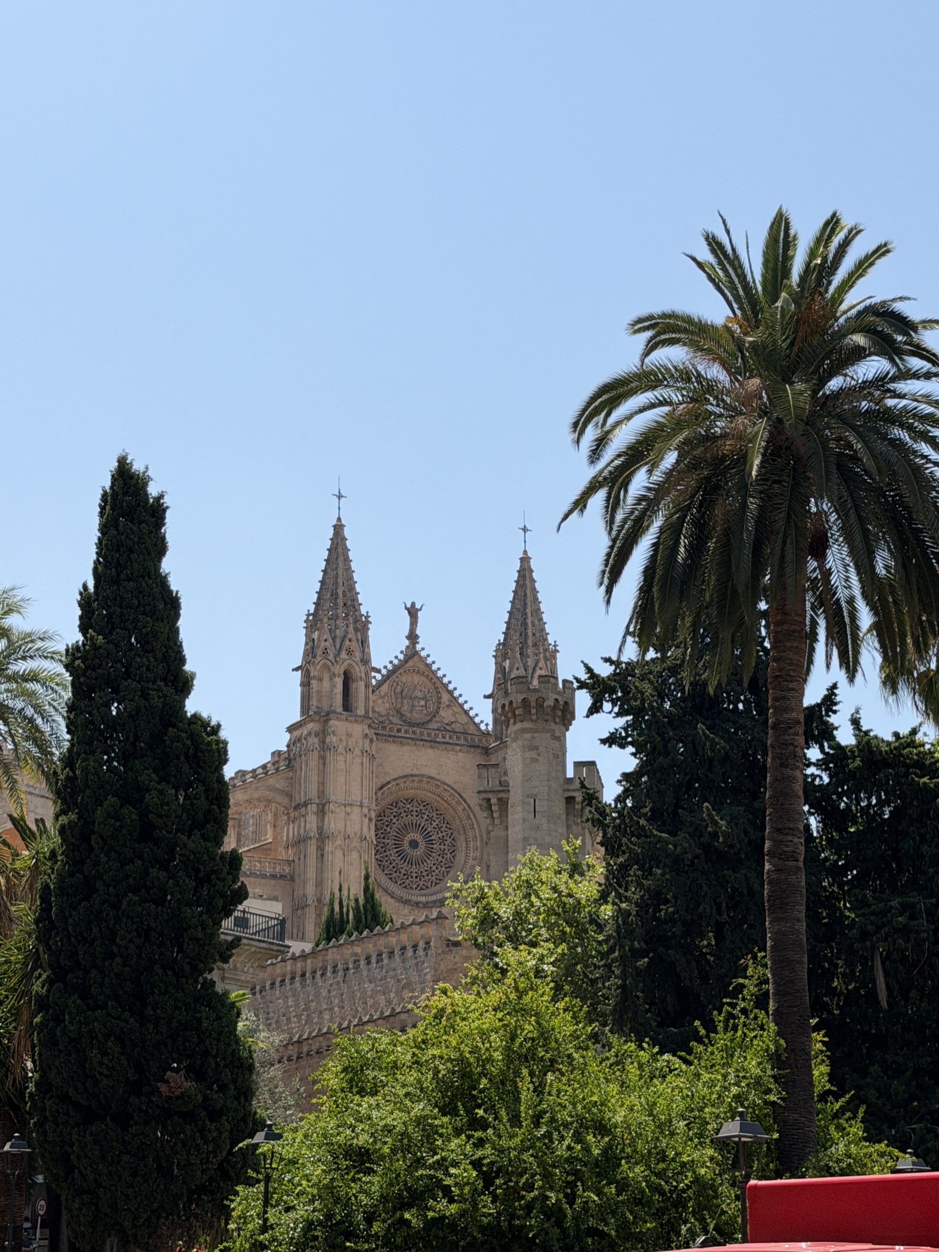 Kathedrale La Seu zwischen Palmen in Palma