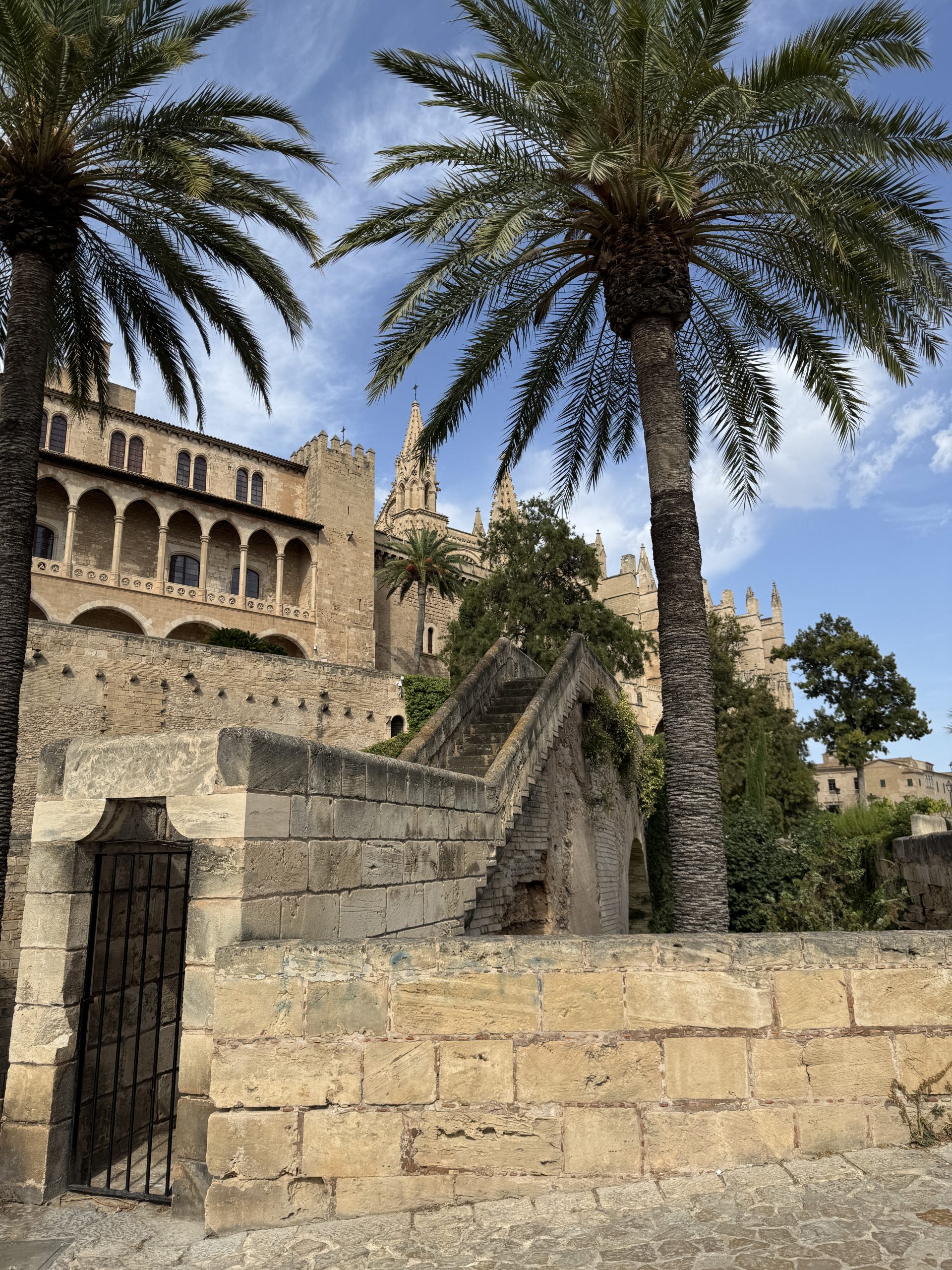 Palmen an einer historischen Mauer in Palma